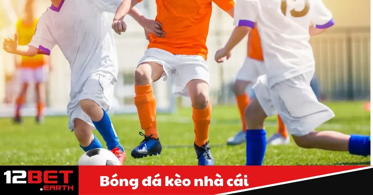 Bóng Đá Kèo Nhà Cái Là Gì? Kèo Nhà Cái Trong Bóng Đá Là Gì?