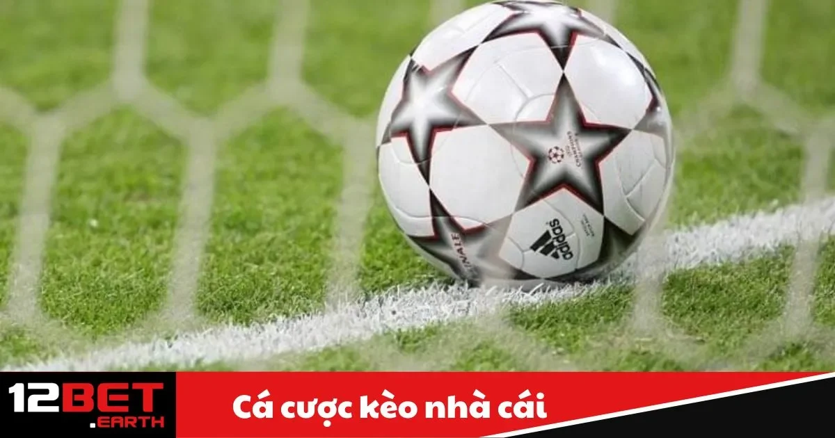 Cách Tham Gia Cá Cược Kèo Tại Nhà Cái 12Bet