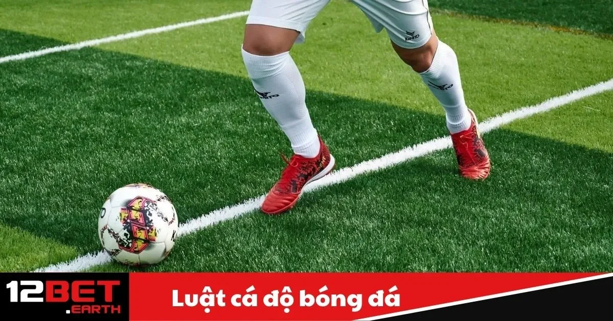 luat ca do bong da1 3 1